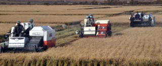 Copertina di La Cina ha “fame”: punta sugli Ogm e pensa a nuove aziende agricole