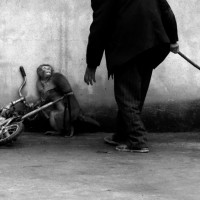 Yongzhi Chu – Primo premio nella categoria “Natura, Singles” – Una scimmia costretta ad addestrarsi in un circo a Suzhou, in Cina