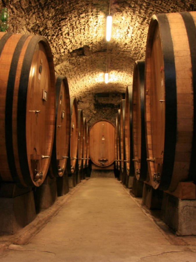 ViniVeri e Villa Favorita, Verona e Vicenza ospitano due eventi dedicati ai vini naturali