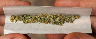 Copertina di Cannabis, una proposta di legge per legalizzarla. Favorevole o contrario? Vota