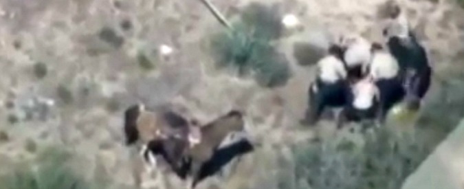 Copertina di Usa, 11 poliziotti pestano selvaggiamente un uomo disarmato. Aveva rubato un cavallo