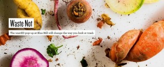 Copertina di New York, l’esperimento dello chef: serve piatti fatti con resti e “spazzatura”