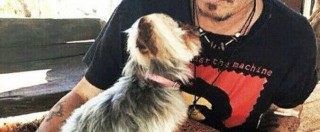 Copertina di Johnny Depp, nuovi guai: la moglie accusata di contrabbando di cani in Australia