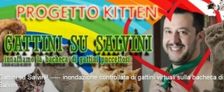 Copertina di Gattini su Salvini, flash mob virtuale sul profilo Facebook del leader della Lega: “Scatenate felini in nome dell’amore”