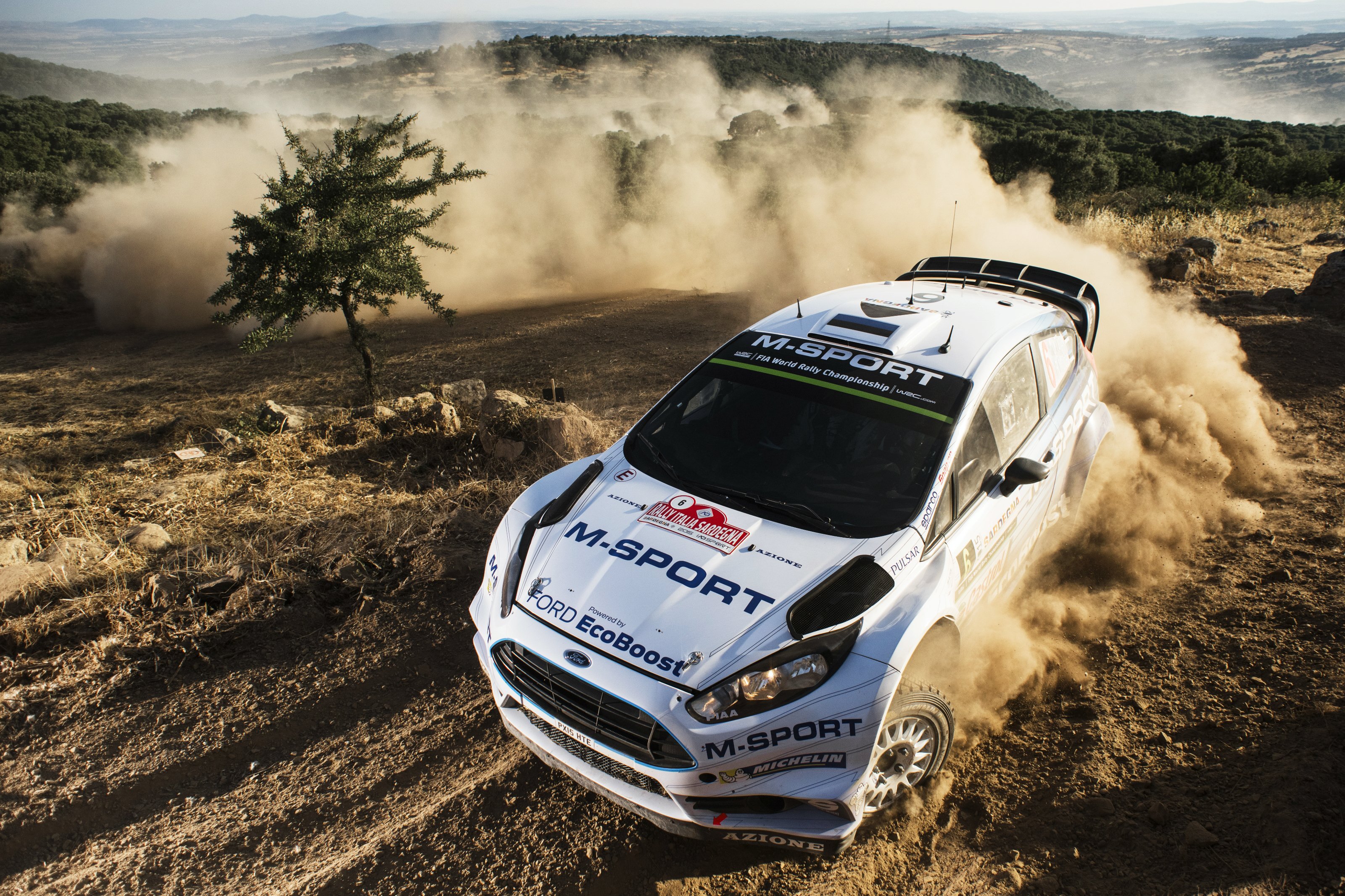 Ралли цен. Ford раллийный. Focus Fiesta ралли. WRC Rally. Ford Rally 3.