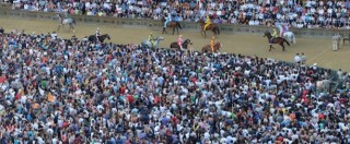 Copertina di Palio di Siena 2015, abbattuta cavalla ferita: “Va abolito, è pericoloso e sanguinario”