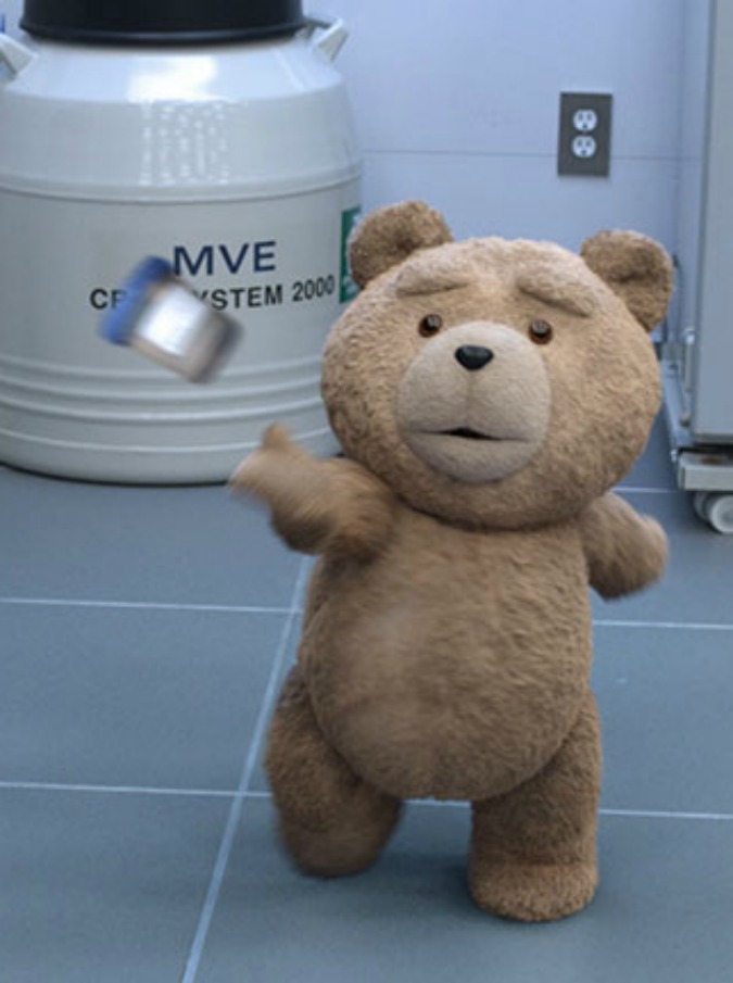 Ted 2, in uscita sequel sull’orsacchiotto politicamente scorretto. Seth MacFarlane ritorna come sceneggiatore, regista e voce protagonista