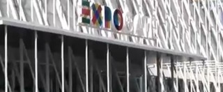 Copertina di Expo 2015, l’istituto del caso Xylella nel doppio ruolo di giudice e premiato