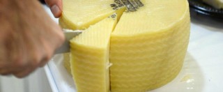 Copertina di Commissione Ue diffida Italia: “Permetta di produrre formaggio anche senza latte”