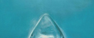 Copertina di Si tuffa in mare con la moglie ma la perde di vista, poi la chiazza rossa in acqua: “Ha visto la grande bocca dello squalo continuare a nutrirsi di qualcosa”