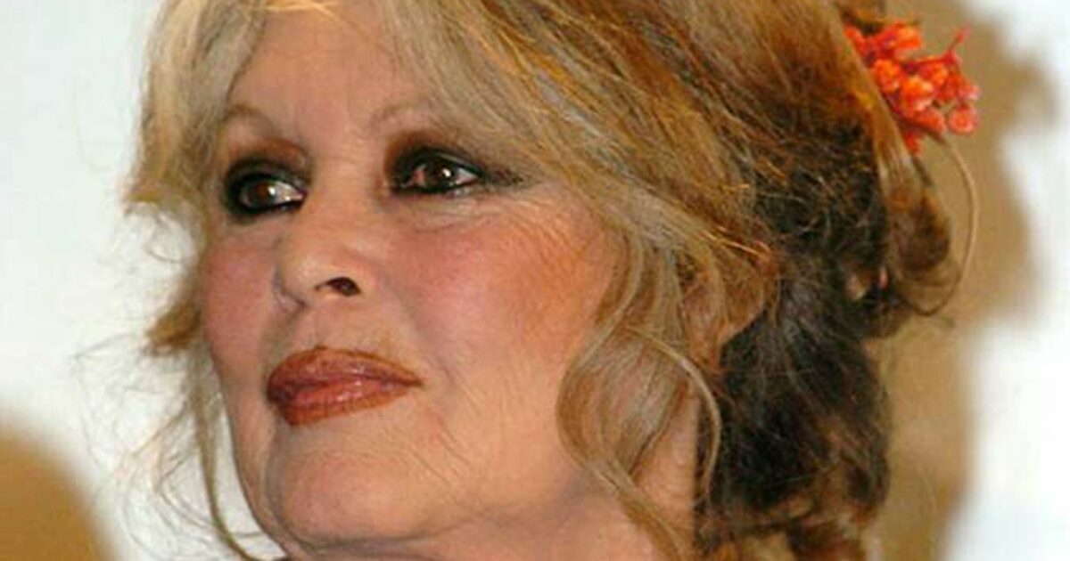 “Io vecchia? Sono fortunata, mi reggo in piedi e non passo il tempo a contare rughe e capelli bianchi davanti allo specchio”: la favolosa Brigitte Bardot compie 90 anni