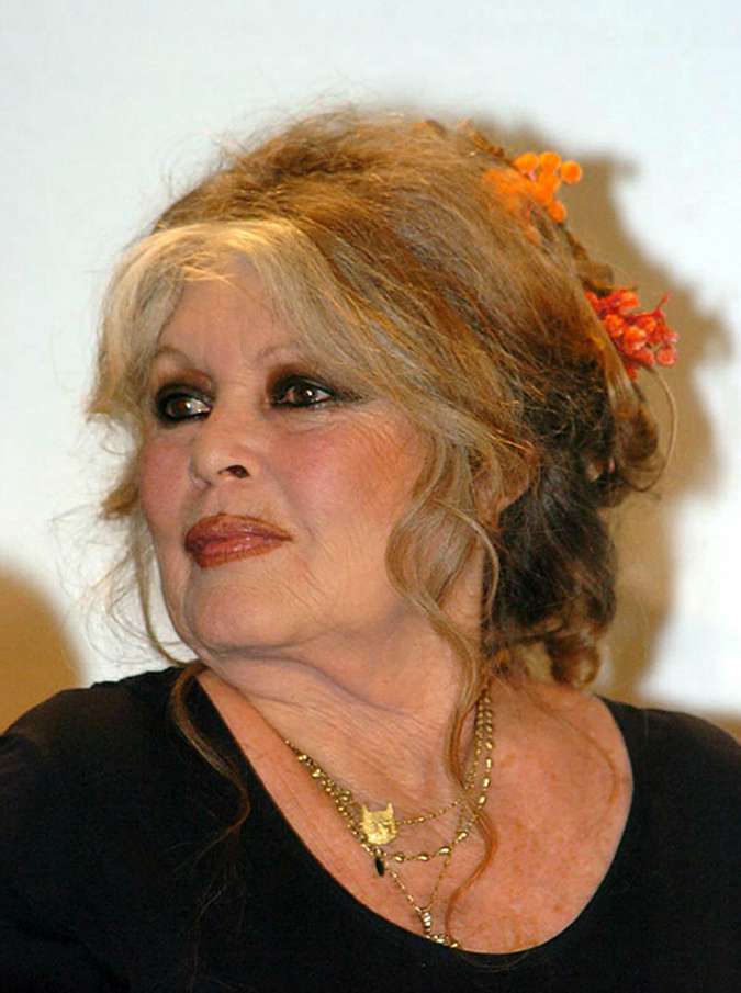 Brigitte Bardot contro il governo australiano: “Non uccidete due milioni di gatti, sterilizzateli”