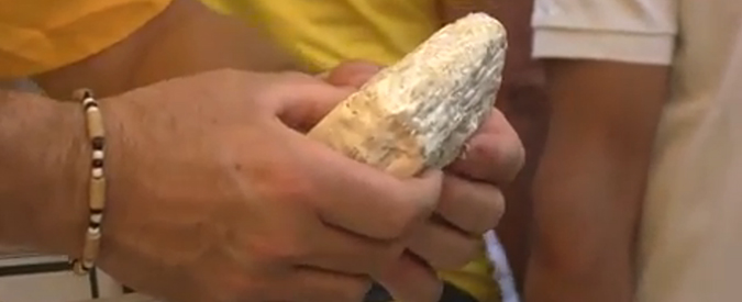 Copertina di Allevatori in piazza contro il formaggio senza latte: “No all’Ue del cibo falso”