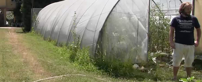 Copertina di Varese, economista diventa contadino: “Senza cravatta e con la vanga sono felice”