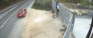 Copertina di Spagna, uomo si libera del cane gettandolo oltre il cancello di un rifugio per animali