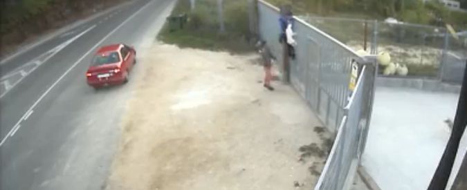 Copertina di Spagna, uomo si libera del cane gettandolo oltre il cancello di un rifugio per animali