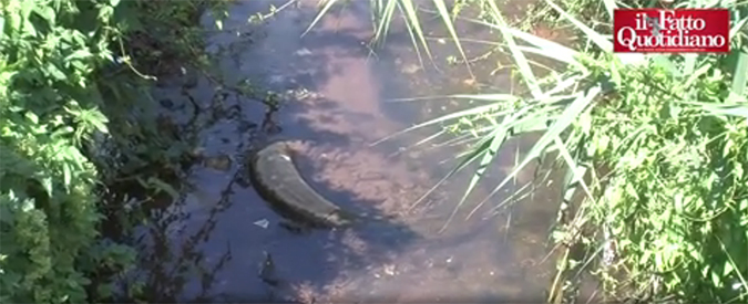 Copertina di Roma, il FattoTv scopre discarica in area protetta. Ente parco: “Quei rifiuti rimarranno lì”