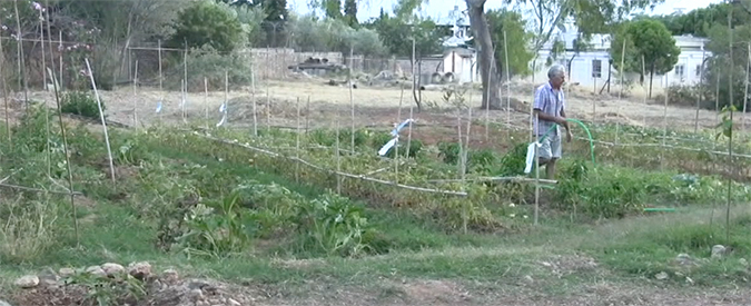 Copertina di Atene in vendita? Ecco gli orti collettivi nell’ex base Usa che si oppongono all’edilizia dei ricchi