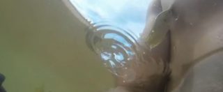 Copertina di Utah, fa il bagno dentro il lago ma i pesciolini lo “attaccano”