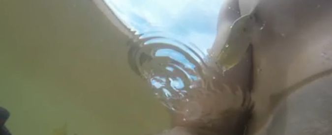 Copertina di Utah, fa il bagno dentro il lago ma i pesciolini lo “attaccano”