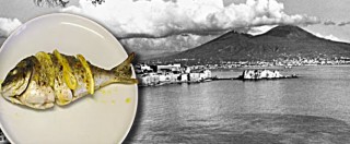 Copertina di Napoli, saraghi immangiabili e prezzo crollato. “Colpa di un’alga che distrugge i grassi. Forse utile contro il colesterolo”