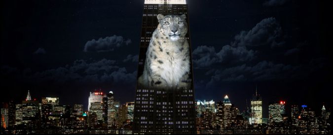 Copertina di Animali a rischio d’estinzione, ecco il suggestivo show per la sensibilizzazione