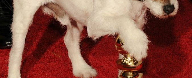 The Artist, morto il cane Uggie: ha vinto il Collare d’Oro a Hollywood e il Palm Dog a Cannes (FOTO)