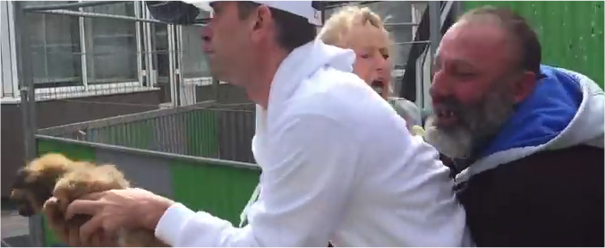 Copertina di Ruba il cagnolino di un senzatetto: scoppia la rissa con gli animalisti