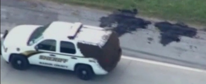 Copertina di Oklahoma, si ribalta tir pieno di api: sciami intorno alle automobili. Il video della dash-cam