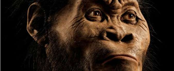Copertina di Homo Naledi (FOTO), nuova specie umana scoperta in Sudafrica. Un italiano nel team: “Caso unico”