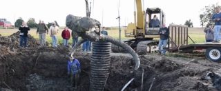 Copertina di Usa, contadino trova lo scheletro di un gigantesco mammut nel campo di soia