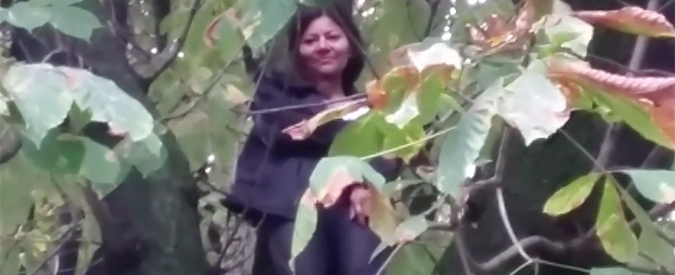 Copertina di Milano, donna su un albero per ore per salvarlo dalla metro. Attivisti M5S con lei