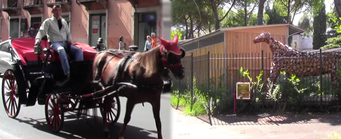 Copertina di Roma, stalle per le botticelle costate 1,4 milioni di euro ma inutilizzate. Enpa: “Intervenga Corte dei conti”