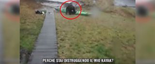 Copertina di Alaska, ragazza spruzza dello spray urticante contro un orso e lui gli distrugge il kayak