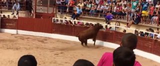 Copertina di Corrida, un toro scavalca le barriere dell’arena e incorna un uomo a Palomares del Campo