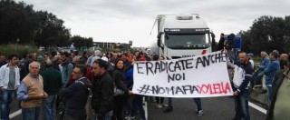 Copertina di Xylella, blocchi stradali e boicottaggi: nel Salento è disobbedienza civile (FOTO)