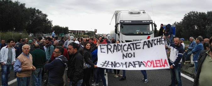 Copertina di Xylella, blocchi stradali e boicottaggi: nel Salento è disobbedienza civile (FOTO)