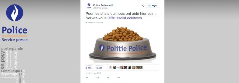 Copertina di Bruxelles, belgi postano gattini su Twitter per “aiutare” la polizia. Che ringrazia con una ciotola di croccantini (FOTO)