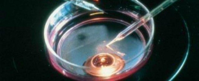 Legge 40, non è reato la selezione degli embrioni affetti da malattie genetiche