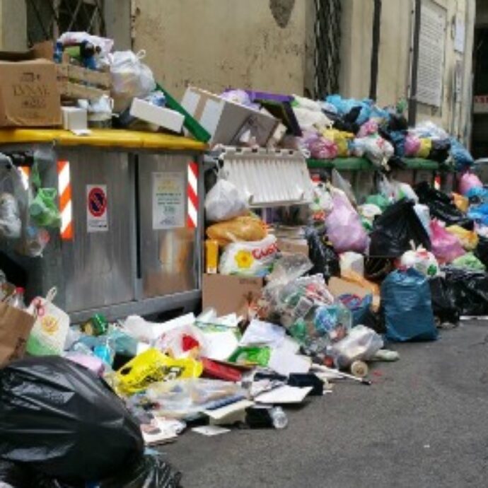 “Il mio vicino arrogante ha iniziato la ‘guerra dei bidoni’. Continua a buttare la spazzatura da me, sono incaz**to e ora mi vendicherò”: lo sfogo su Reddit