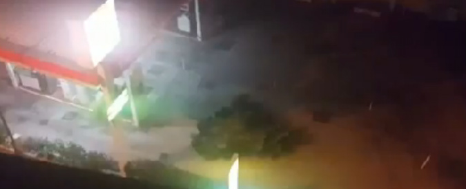 Copertina di Napoli, rubano l’abete per Natale e lo tagliano nell’area di servizio