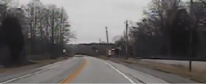 Copertina di Un cervo ‘volante’: il tremendo impatto con l’auto della Polizia