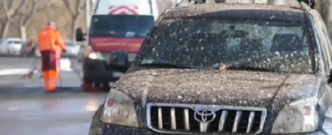 Copertina di Roma, emergenza guano in strada: lungotevere chiuso, caos e incidenti