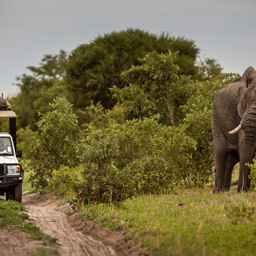 Vita da campo, il lodge come in un set del cinema