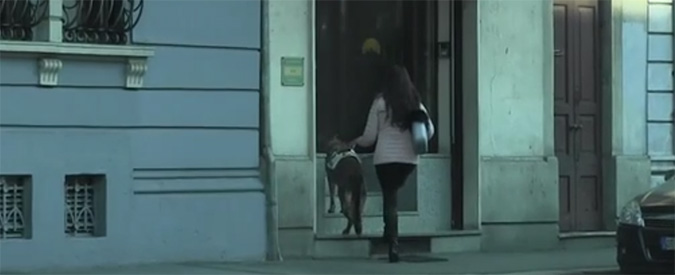 Copertina di Non è un paese per ciechi, alberghi vietati per chi ha un cane guida. Ma la legge lo impedisce
