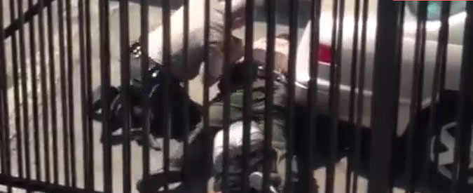 Copertina di Usa, il video sui poliziotti a Long Beach: ciclista viene ammanettato, poi i colpi di pistola che lo uccidono