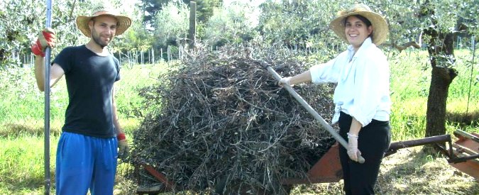 Copertina di “In un mondo precario, solo la terra è concreta. Andare all’estero per fare i camerieri? No, grazie”