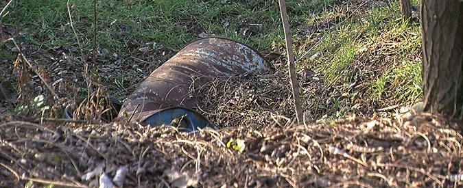 Copertina di Ambiente, Polizia provinciale: “Così il governo ci smantella. Le indagini su rifiuti sono finite”