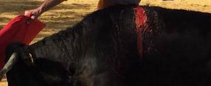 Il torero infilza l’animale nell’arena con la figlia neonata in braccio: bufera sui social. Il ministro Sanchez Rubio: “Immagine inaccetabile”