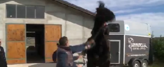 Copertina di Rai, cavallo imbizzarrito: cronista del TgR Calabria disarcionato. “Mi sono davvero fatto male”